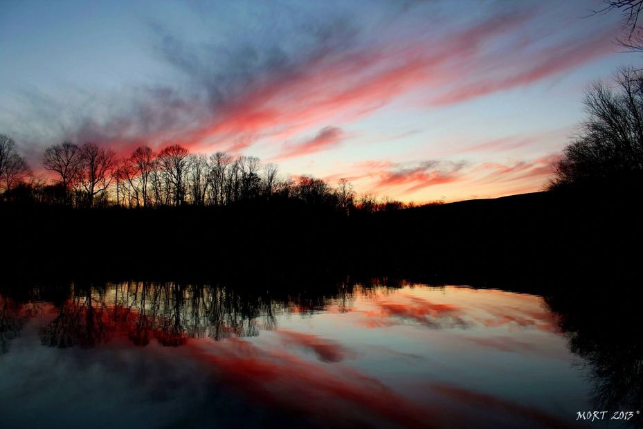 Juniata River
Maine Coon Kittens