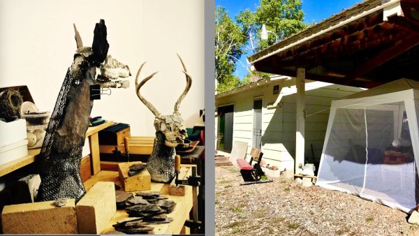 Two animal skull sculptures in an indoor workshop.