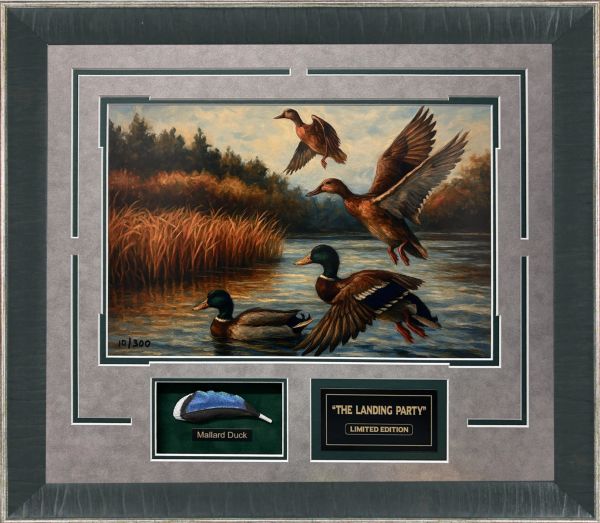 Framed artwork of mallard ducks in flight and on water.