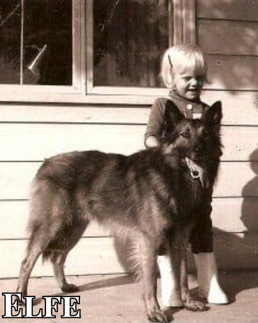 Teddy Edouard Ours Val du Echo