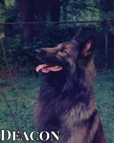 CH Bonheur Urgent Appeal