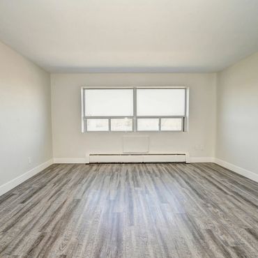 Empty room with gray wood flooring and large window.