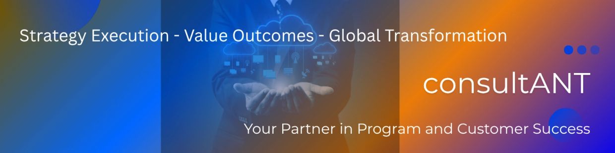 ConsultANT: Partner in strategy, value, and global transformation success.