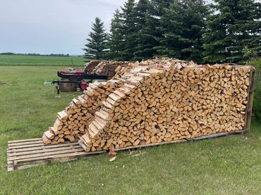 Neatly stacked firewood arranged in a unique curved shape outdoors.