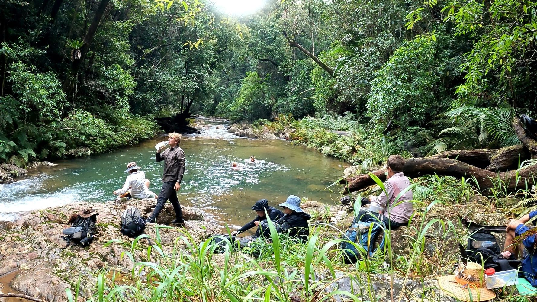 Group of hikers swimming in a freshwater creek Queensland