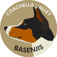 Coachella Valley Basenji's