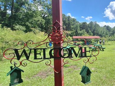 welcome sign with view of vineyard