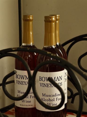 Alcohol free muscadine wine