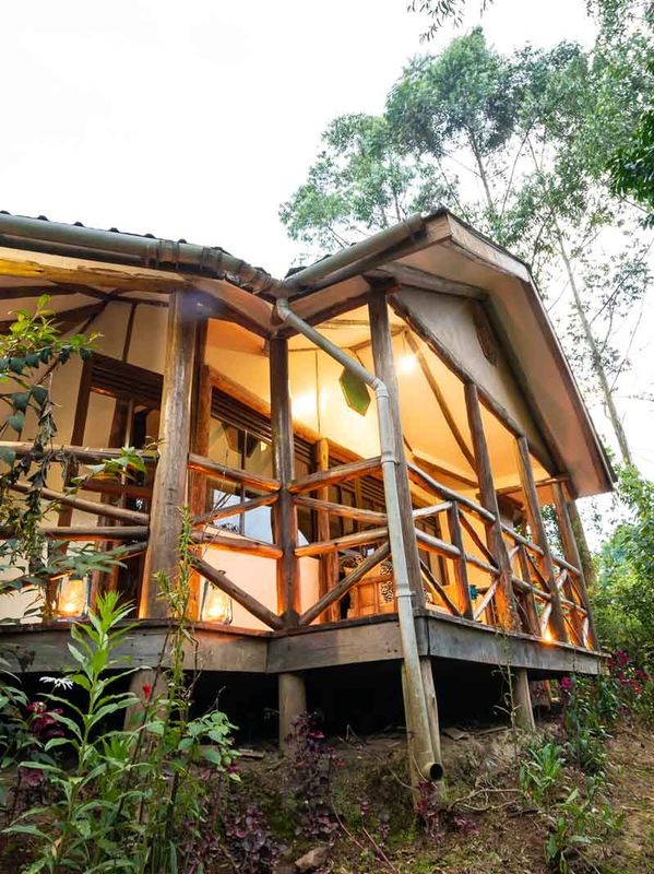 Gorilla Safari Lodge