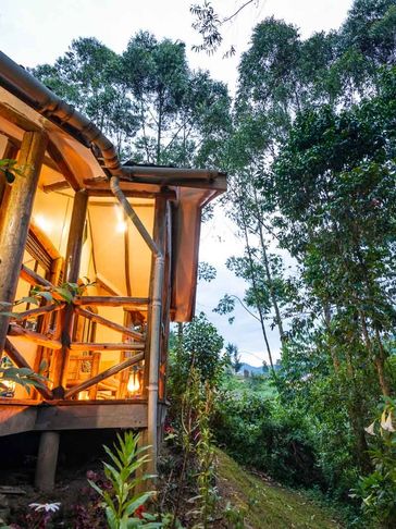 Gorilla Safari Lodge