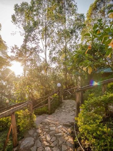 Gorilla Safari Lodge