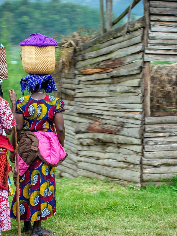 Gorilla Safari Lodge