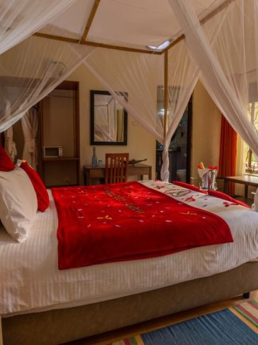 Gorilla Safari Lodge