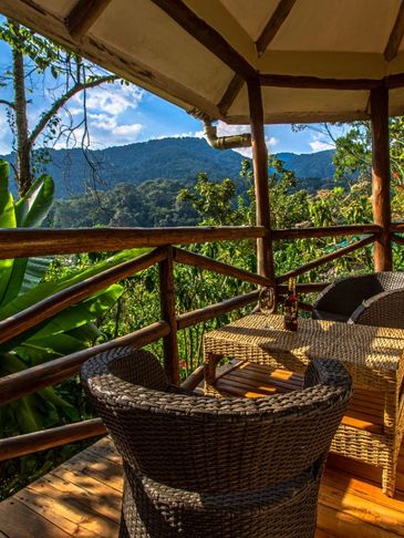 Gorilla Safari Lodge