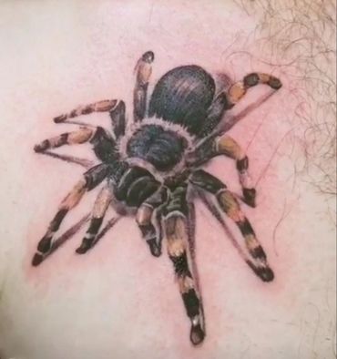 Realistic black and grey spider tattoo by Amber Tattoos Ajax ON