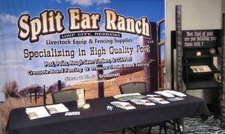 Ag Conference Kearney, Ne
Women in Ag