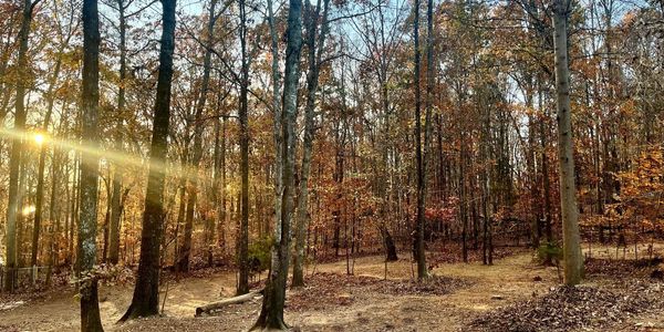 Our Big Back Yard ! so fun to watch all the dogs run and chase and play  here!