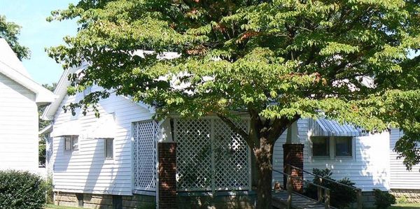 A white house partially hidden by a large tree with green leaves.