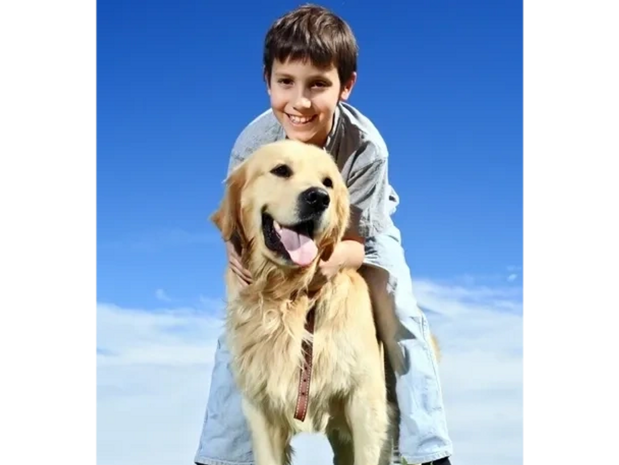 Boy happily hugging a golden retriever outdoors on a sunny day.