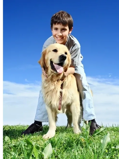 A happy boy hugging a golden retriever on a sunny day.