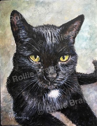 Christmas gift to our God Child Marcell of his cat Felix.