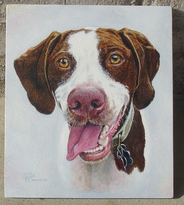 Our daughter's family's second dog. gift to the family.