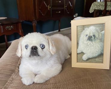 “Bruzer” age 13, belonging to friends Patti & Joel Metro of Medina, Ohio. Painted 2021