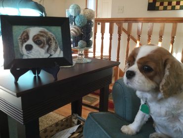 5x7 Original painting of my Godmother Millie's little King Charles Cavalier London 2020