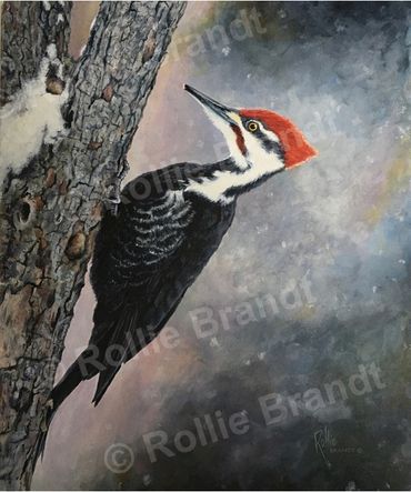 “Striking Distance” - Pileated Woodpecker 2020  10-1/2" x 12-1/2"  