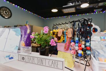 Customer service counter and merchandise for sale at a dog grooming business in Elk City, OK