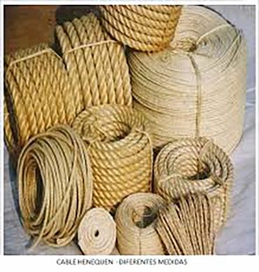 APARTADO DE: DESPACHADORES