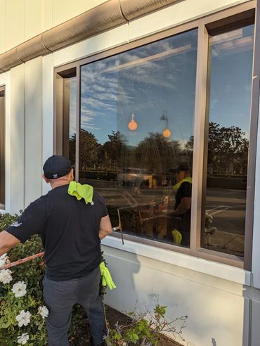 Windows shining removing dirty dust getting looks like mirrors