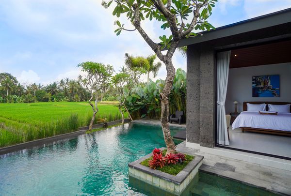 Modern villa with a pool overlooking lush green fields and trees.