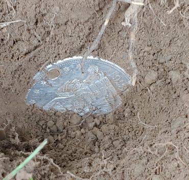 Tim's  1876 Trade  Dollar