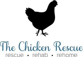 The Chicken Rescue