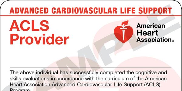 The BLS Course trains participants to promptly recognize several life-threatening emergencies, give