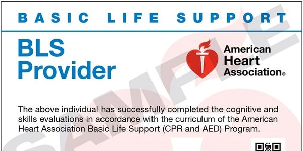 The BLS Course trains participants to promptly recognize several life-threatening emergencies.