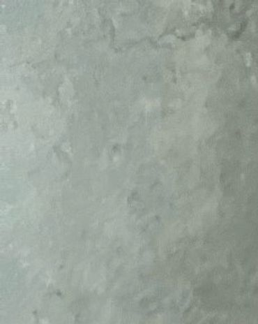 EXTREME Baby Doll Yorkies, Baby Doll Yorkie, Yorkie in MD, Micro Baby Doll Yorkie, Teacup Yorkie