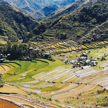Rice Terraces 
Ctto: kmarius