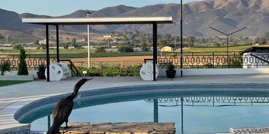 Saltwater Pool at Iboga treatment center .