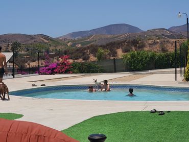 Clients enjoying the pool at Iboga Treatment Center