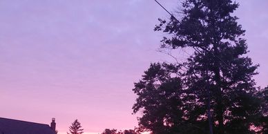 A vibrant purple and pink sunset behind silhouetted trees and rooftops.