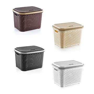20 lt. Rattan Basket with LidRattan Crate No:1