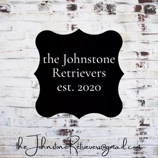 the Johnstone Retrievers