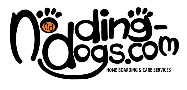 nodding-dogs