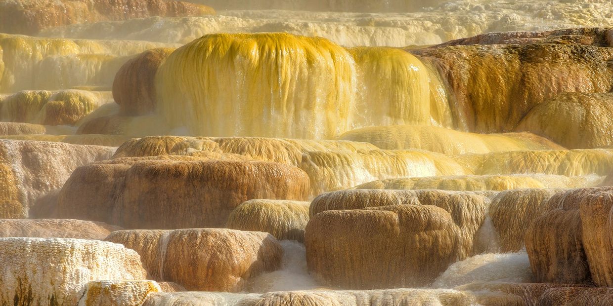 Tours in Yellowstone National Park