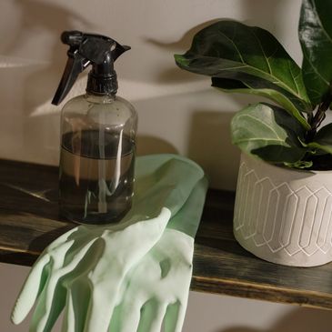a spray bottle and gloves placed next to a plant 