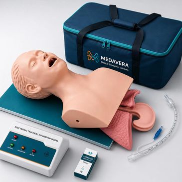 Airway intubation training simulator