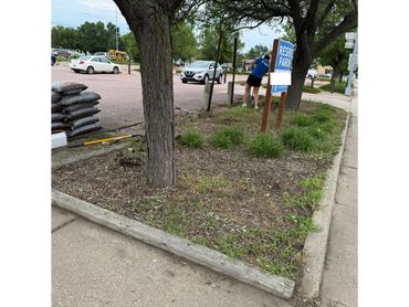 Person gardening near a reserved parking sign in an urban setting.