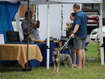 The Providence Market 2025